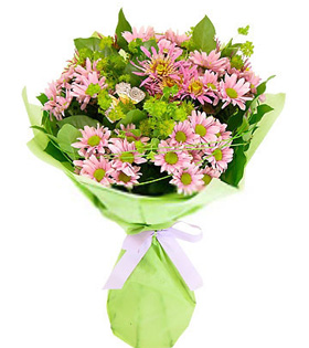 22 Pink Gerbera