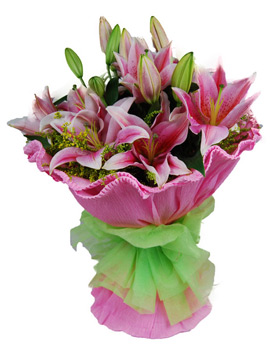 Heartily Lily