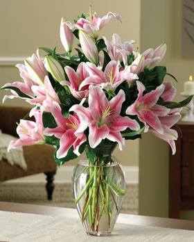 Striking Stargazers