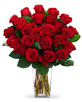 Two Dozen Red Roses