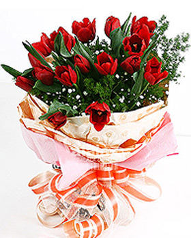 18 Red Tulips