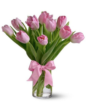 Pink Tulip with Vase