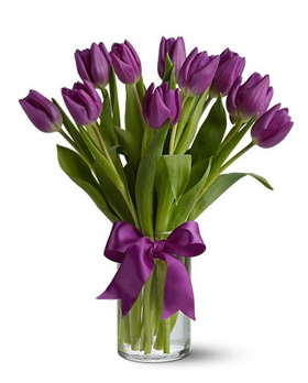 Purple Tulip with Vase