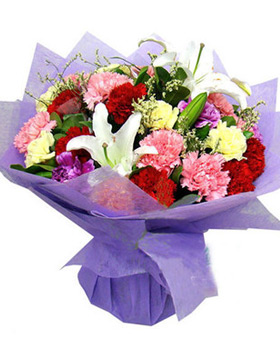 Colorful Carnations