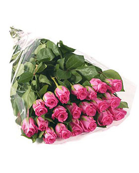 20 Pink Roses in Bouquet