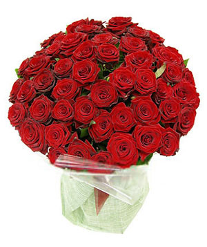 48 Red Roses