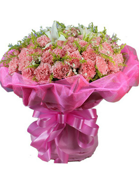 Pink Attachment
